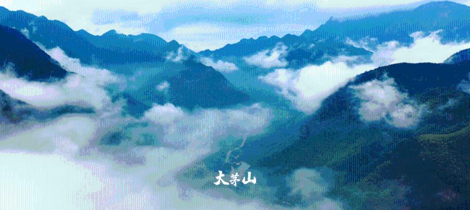 深海迷航